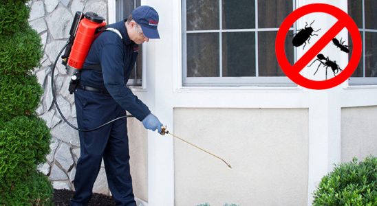 Tuşba Kene İlaçlama böcek ilaçlama ve haşere kontrolü — ilaclama-tr.com